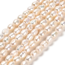 Natural Cultured Freshwater Pearl Beads Strands, Two Sides Polished, Grade 4A+
