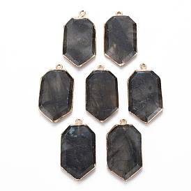 Natural Labradorite Pendants, with Golden Plated Iron Edge and Loop, Faceted, Polygon