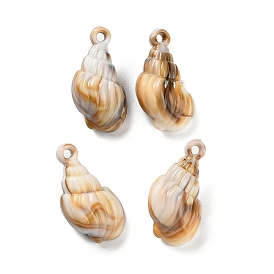 Opaque Acrylic Pendants, Imitation Gemstone, Spiral Shell Shape