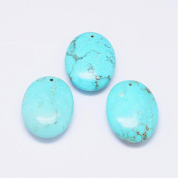 Natural Howlite Pendants, Oval, Dyed & Heated
