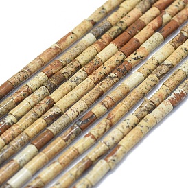 Natural Picture Jasper Beads Strands, Column