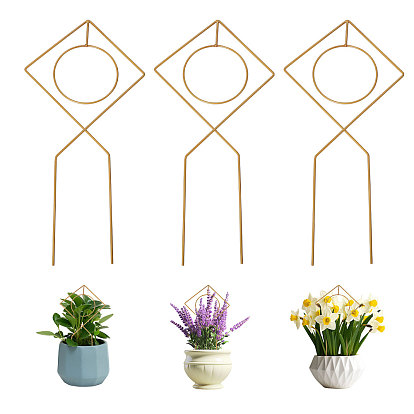 Iron Stakes, for Plant Support Extension, Climbing Indoor Potted Plants