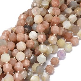 Natural Multi-Moonstone Beads Strands, Bicone, Double Terminated Point Prism Beads, Faceted, with Seed Beads