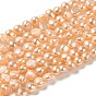 Natural Cultured Freshwater Pearl Beads Strands, Two Sides Polished Round, Grade 3A+