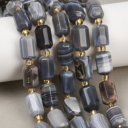 Природные Ботсвана агат бисер нитей, граненые колонки, с бисером