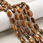 Природных тигровый глаз бисер нитей, с бисером, Плоско-овальные