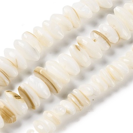 Natural Anomaly Freshwater Shell Beads Strands, Oval