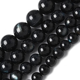 Натуральный черный оболочки губ бисер нитей, окрашенные, круглые