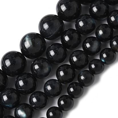 Натуральный черный оболочки губ бисер нитей, окрашенные, круглые