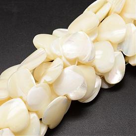 Natural Trochid Shell/Trochus Shell Beads Strands, Heart, 18~19x18~19x4~6mm, Hole: 1mm, about 21pcs/strand, 15.35 inch