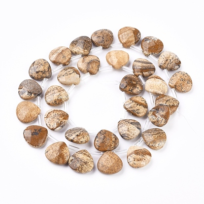 Natural Picture Jasper Beads Strands, Top Drilled Beads, Faceted, Teardrop