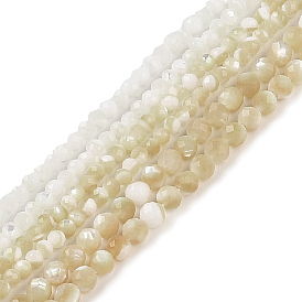 Natural Trochus Shell Beads Strands, Faceted, Round
