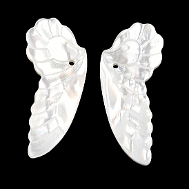 Natural White Shell Carved Pendants, Wing Charms