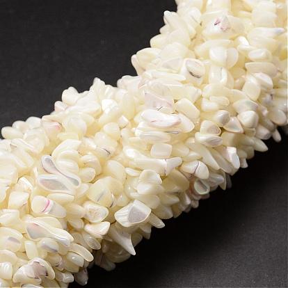 Natural Trochid Shell/Trochus Shell Beads Strands, Shell Shards, Chip, 5~8x5~8mm, Hole: 1mm, 32 inch