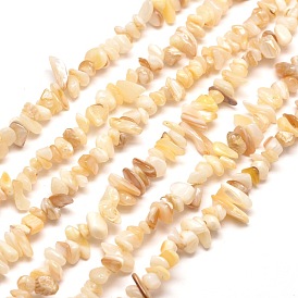 Brins de perles de copeaux de coquille d'eau douce naturels, tessons shell, 5~8x5~8mm, Trou: 1mm, environ 31.5 pouce