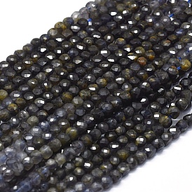 Natural Iolite Beads Strands, with Gold Point, Gradient Style, Square, Faceted