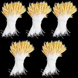 5 Bundles Cotton and Gesso Artificial Flower Core