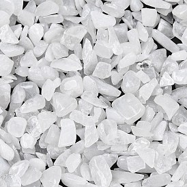 Бусины из натурального белого нефрита, нет отверстий / незавершенного, 2~8x2~4 мм, Около 8500 шт / 500 г