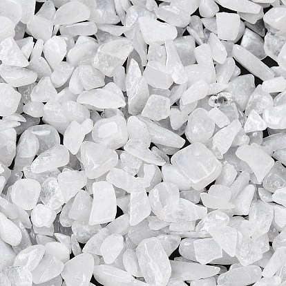 Бусины из натурального белого нефрита, нет отверстий / незавершенного, 2~8x2~4 мм, Около 8500 шт / 500 г