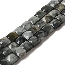 Natural Eagle Eye Stone Beads Strands, Faceted, Square
