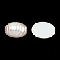 ABS Plastic Imitation Pearl Cabochons, Oval