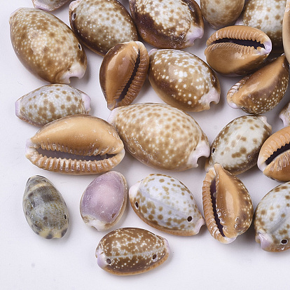 Natural Cowrie Shell Links Connectors