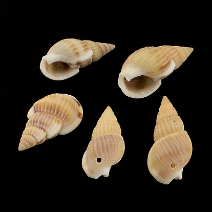 Спиральные подвески оболочки, 24~30x12~15x10~13 мм, отверстие: 1.5 мм, о 495ppcs / 500g