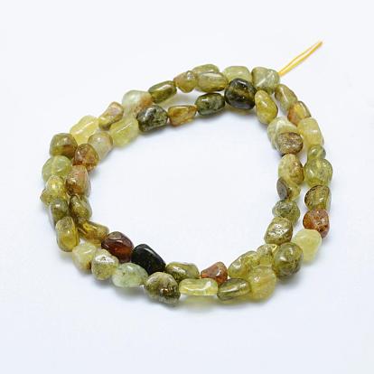 Natural Green Garnet Beads Strands, Andradite Beads, Tumbled Stone, Nuggets