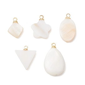 5шт. 5 стили подвесок из натуральных ракушек с латунными ушками, золотые, цвет морской раковины