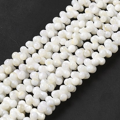 Natural Freshwater Shell Beads Strands, Peanut