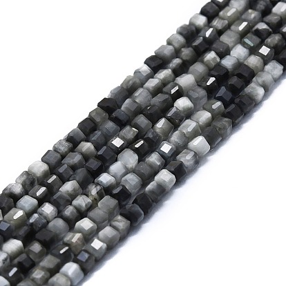 Natural Hawk's Eye Beads Strands, Eagle Eye Stone, Faceted, Cube
