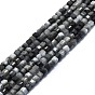Natural Hawk's Eye Beads Strands, Eagle Eye Stone, Faceted, Cube