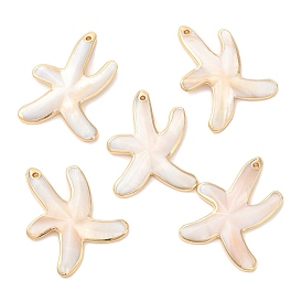 Pendentifs de coquillages d'eau douce naturelle, breloques étoile de mer bordées de laiton plaqué or