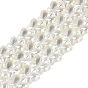 Baking Paint Electroplate Transparent Glass Beads Strands, Butterfly, AB Color Plated