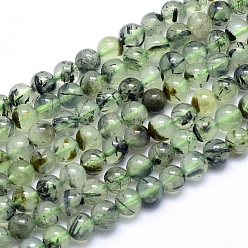 Natural Prehnite Beads Strands, Round