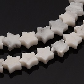 Howlite Star Bead Strands, Dyed