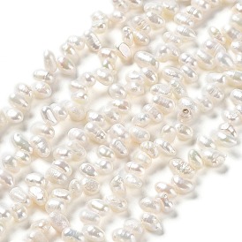 Natural Cultured Freshwater Pearl Beads Strands, Rice