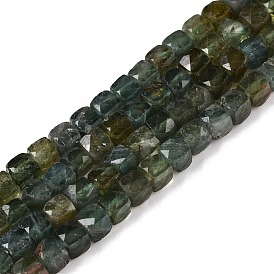 Natural Fuchsite Beads Strands, Faceted, Cube