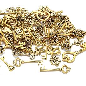 Сплавочные подвески тибетского стиля, смешанный ключ, 28~46x9~16x1~4.5 мм, Отверстие : 1.5~5 мм , около 60~65 шт / 100 г