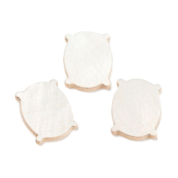Cabochons de coquillages naturels, coussin