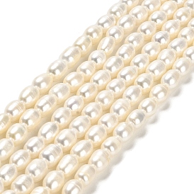 Natural Cultured Freshwater Pearl Beads Strands, Rice, Grade A+