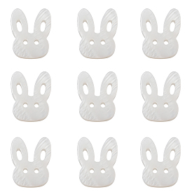 Кролик натуральная пресноводная ракушка, кролика головы