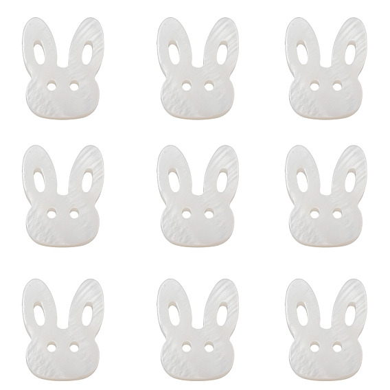 Кролик натуральная пресноводная ракушка, кролика головы