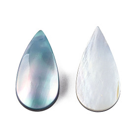 Natural Turbo Cornulus/Top Shells Cabochons, with Acrylic and Shell, Dyed, Teardrop