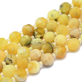 Natural Yellow Opal Beads Strands, Round, Faceted