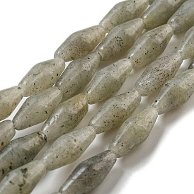 Natural Labradorite Beads Strands, Bicone