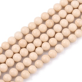 Natural Fossil Beads Strands, Round