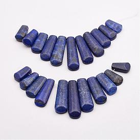 Natural Lapis Lazuli Beads Strands, Graduated Fan Pendants, Focal Beads, Dyed