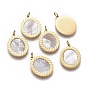 Natural Shell Charms, with Golden Plated 316 Surgical Stainless Steel Findings and Jump Rings, Oval