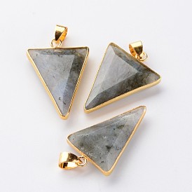 Faceted Triangle Natural Labradorite Pendants, with Golden Tone Brass Findings